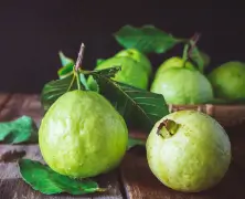 benefit of eating guava