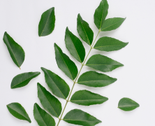 Benefits of curry leaves