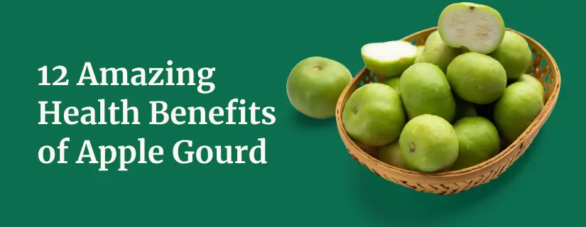 Health Benefits of Apple Gourd