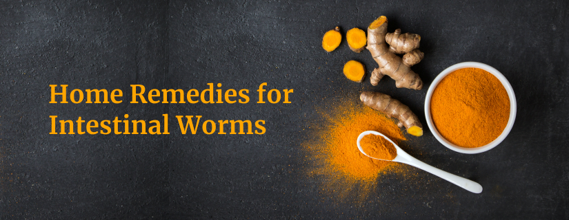 pinworms in adults home remedy