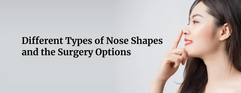 Types of Nose Shapes