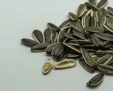 benefits of sunflower seeds