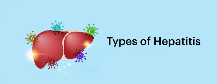 Types of Hepatitis