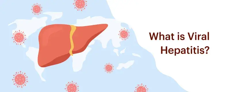 Viral Hepatitis: Types, Symptoms and Prevention