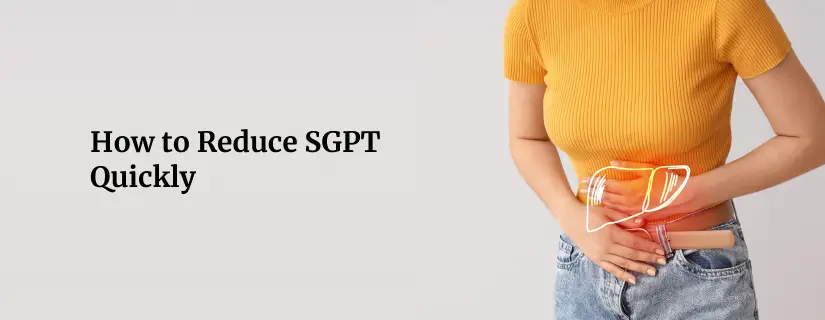 How to Reduce SGPT Quickly