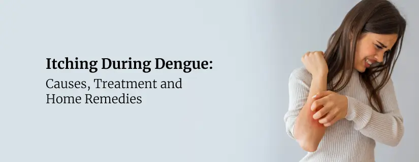 Itching During Dengue