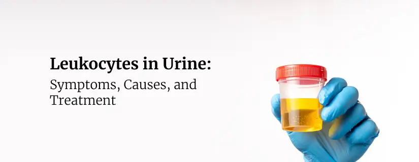 Leukocytes in Urine