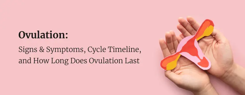 Ovulation