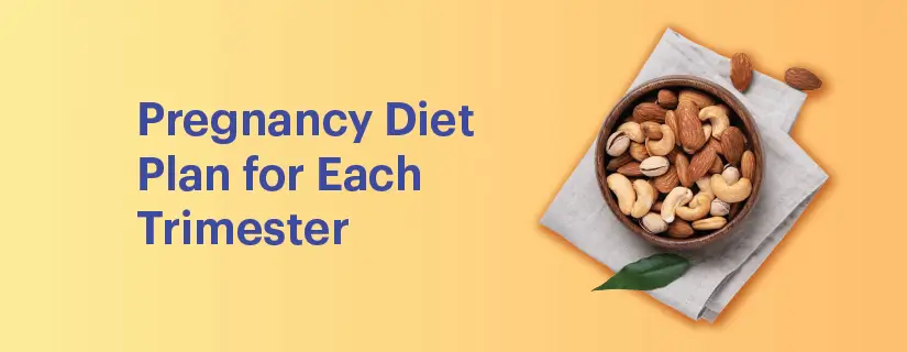 Pregnancy Diet Charts: Trimester by Trimester