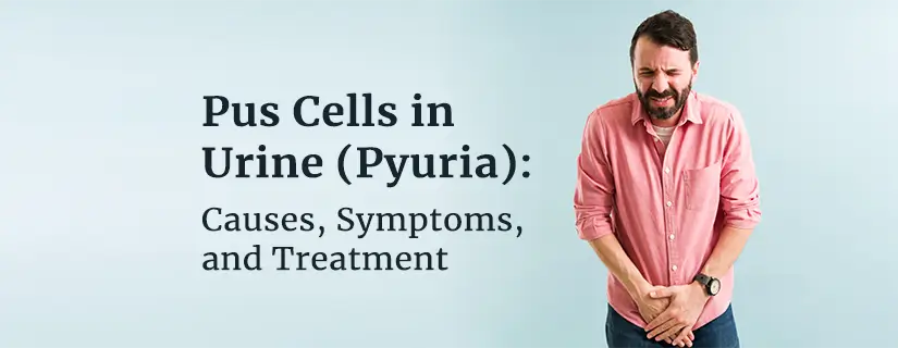 Understanding Pus Cells in Urine (Pyuria)