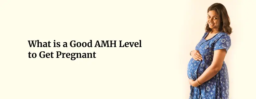 What is a Good AMH Level to Get Pregnant