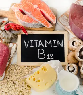 6 Foods Rich in Vitamin B12