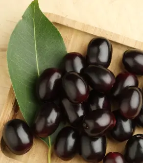 Benefits of Jamun