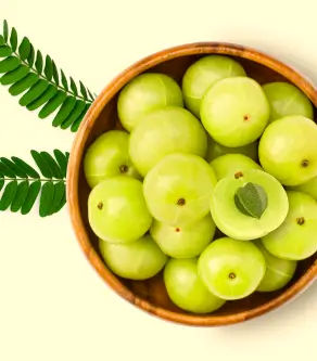 Health Benefits of Amla