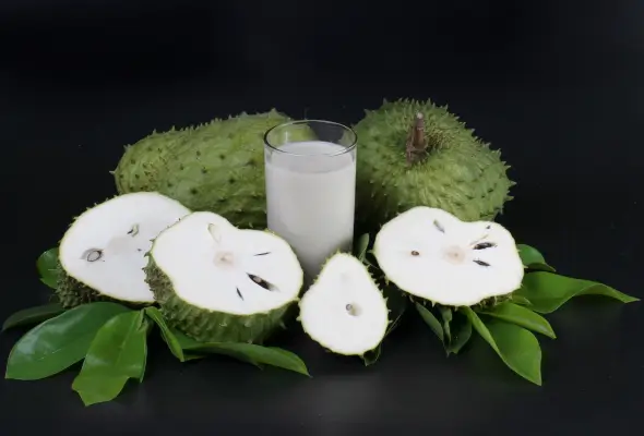 Benefits of soursop (graviola)