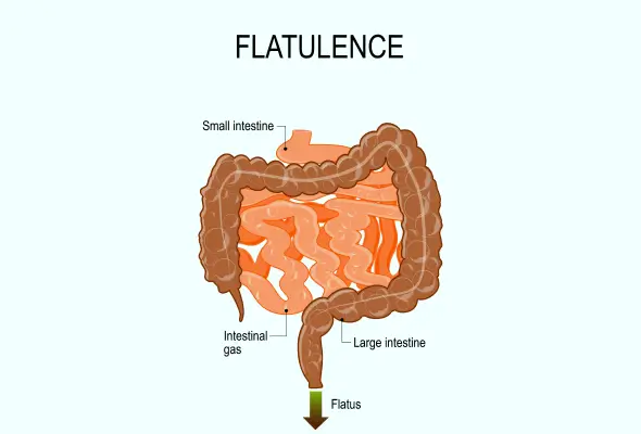 flatulence