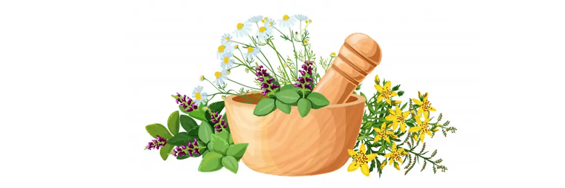 Health Importance of Indian Herbs