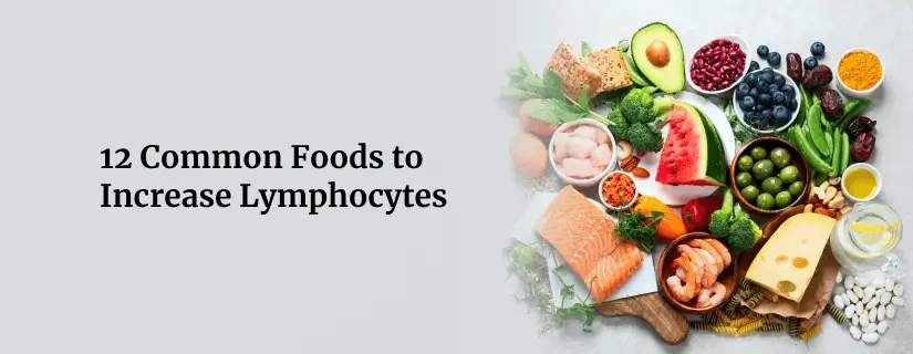 Foods to Increase Lymphocytes